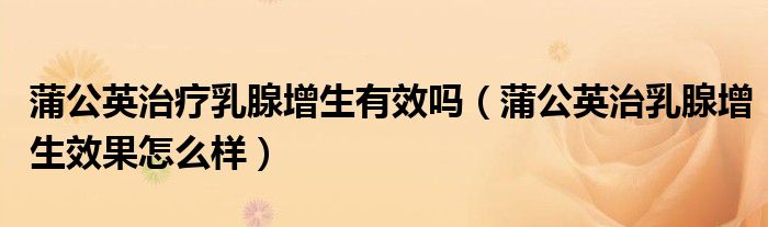 蒲公英治疗乳腺增生有效吗（蒲公英治乳腺增生效果怎么样）