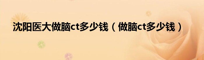 沈阳医大做脑ct多少钱（做脑ct多少钱）