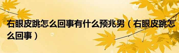 右眼皮跳怎么回事有什么预兆男（右眼皮跳怎么回事）