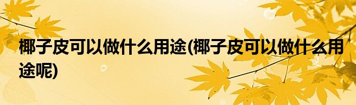 椰子皮可以做什么用途(椰子皮可以做什么用途呢)