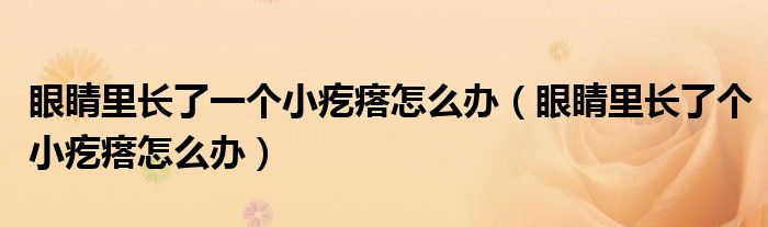 眼睛里长了一个小疙瘩怎么办（眼睛里长了个小疙瘩怎么办）