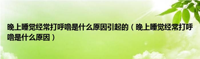 晚上睡觉经常打呼噜是什么原因引起的（晚上睡觉经常打呼噜是什么原因）
