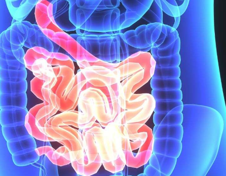 肠道微生物组与妊娠早期代谢激素有关