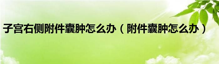 子宫右侧附件囊肿怎么办（附件囊肿怎么办）