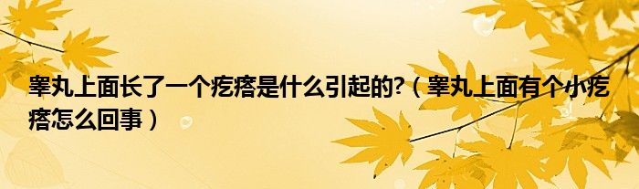 睾丸上面长了一个疙瘩是什么引起的?（睾丸上面有个小疙瘩怎么回事）