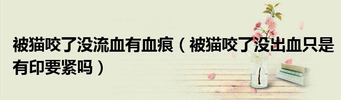 被猫咬了没流血有血痕（被猫咬了没出血只是有印要紧吗）