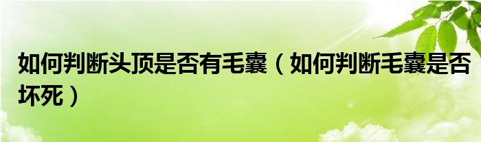 如何判断头顶是否有毛囊（如何判断毛囊是否坏死）