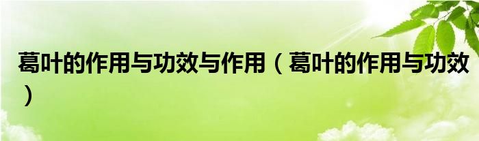 葛叶的作用与功效与作用（葛叶的作用与功效）