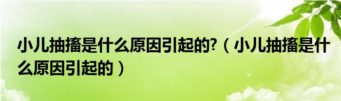 小儿抽搐是什么原因引起的?(小儿抽搐是什么原因引起的)
