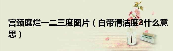 宫颈糜烂一二三度图片（白带清洁度3什么意思）