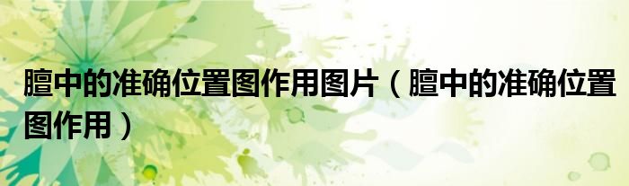 膻中的准确位置图作用图片（膻中的准确位置图作用）