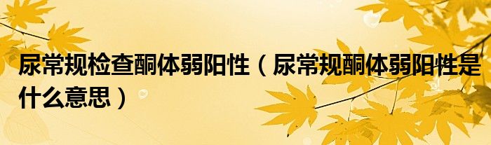 尿常规检查酮体弱阳性（尿常规酮体弱阳性是什么意思）