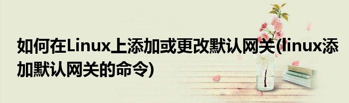 如何在Linux上添加或更改默认网关(linux添加默认网关的命令)