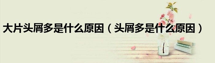 大片头屑多是什么原因（头屑多是什么原因）