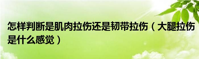 怎样判断是肌肉拉伤还是韧带拉伤（大腿拉伤是什么感觉）