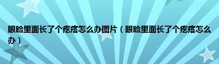 眼睑里面长了个疙瘩怎么办图片（眼睑里面长了个疙瘩怎么办）