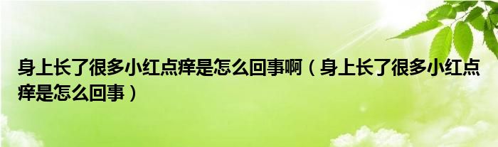 身上长了很多小红点痒是怎么回事啊（身上长了很多小红点痒是怎么回事）