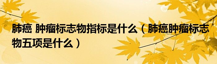 肺癌 肿瘤标志物指标是什么（肺癌肿瘤标志物五项是什么）