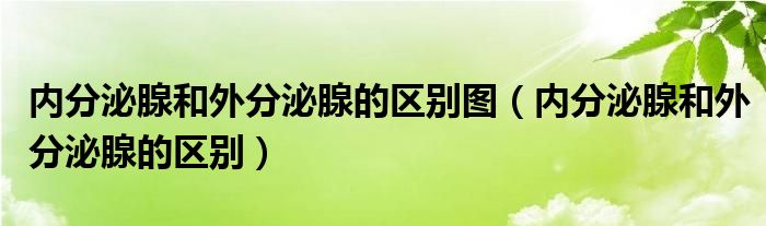 内分泌腺和外分泌腺的区别图（内分泌腺和外分泌腺的区别）