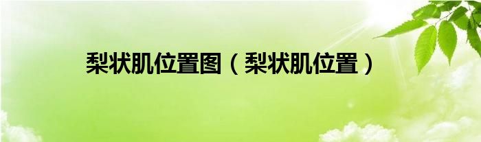 梨状肌位置图（梨状肌位置）