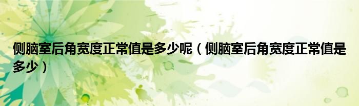 侧脑室后角宽度正常值是多少呢（侧脑室后角宽度正常值是多少）
