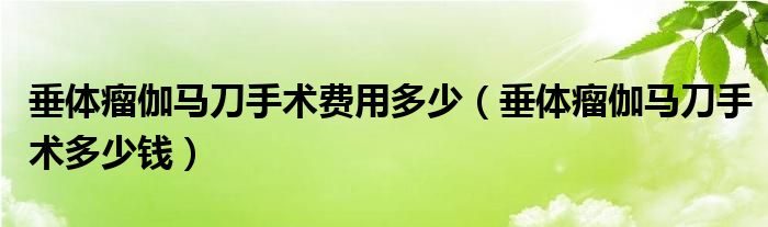 垂体瘤伽马刀手术费用多少（垂体瘤伽马刀手术多少钱）