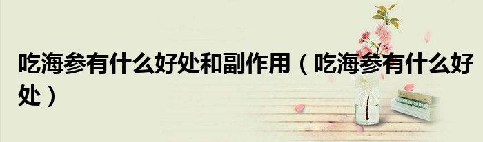 吃海参有什么好处和副作用（吃海参有什么好处）