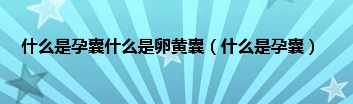 什么是孕囊什么是卵黄囊（什么是孕囊）