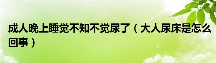 成人晚上睡觉不知不觉尿了（大人尿床是怎么回事）
