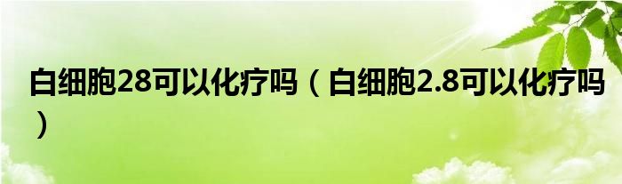 白细胞28可以化疗吗（白细胞2.8可以化疗吗）