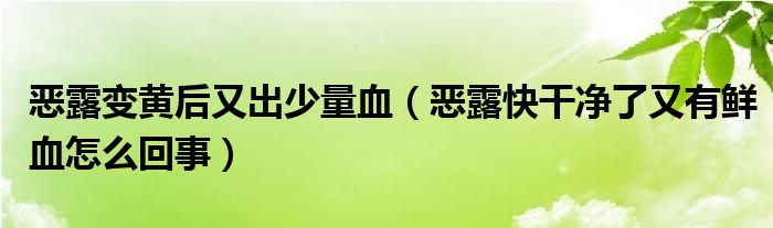 恶露变黄后又出少量血（恶露快干净了又有鲜血怎么回事）