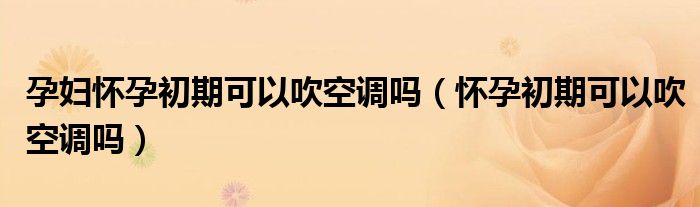 孕妇怀孕初期可以吹空调吗（怀孕初期可以吹空调吗）