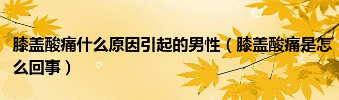 膝盖酸痛什么原因引起的男性（膝盖酸痛是怎么回事）