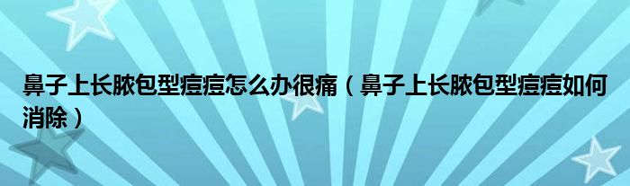 鼻子上长脓包型痘痘怎么办很痛（鼻子上长脓包型痘痘如何消除）