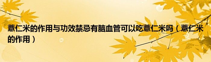 薏仁米的作用与功效禁忌有脑血管可以吃薏仁米吗（薏仁米的作用）