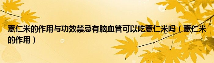 薏仁米的作用与功效禁忌有脑血管可以吃薏仁米吗（薏仁米的作用）