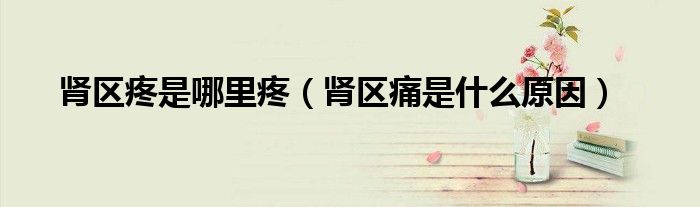 肾区疼是哪里疼（肾区痛是什么原因）