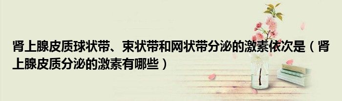 肾上腺皮质球状带、束状带和网状带分泌的激素依次是（肾上腺皮质分泌的激素有哪些）