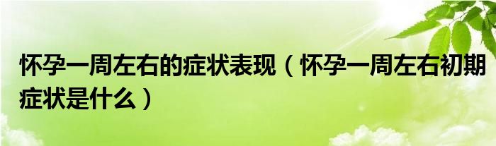 怀孕一周左右的症状表现（怀孕一周左右初期症状是什么）