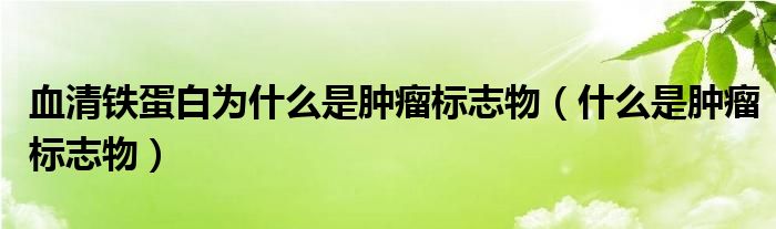 血清铁蛋白为什么是肿瘤标志物（什么是肿瘤标志物）