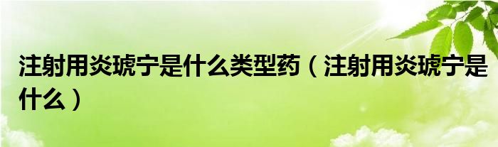 注射用炎琥宁是什么类型药（注射用炎琥宁是什么）