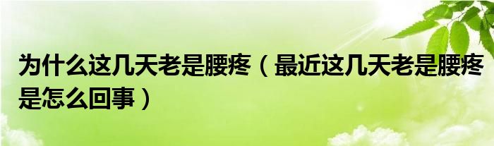 为什么这几天老是腰疼（最近这几天老是腰疼是怎么回事）