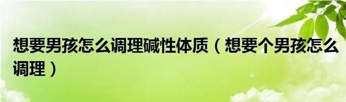 想要男孩怎么调理碱性体质（想要个男孩怎么调理）