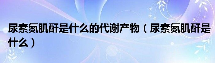 尿素氮肌酐是什么的代谢产物（尿素氮肌酐是什么）