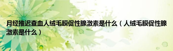 月经推迟查血人绒毛膜促性腺激素是什么（人绒毛膜促性腺激素是什么）