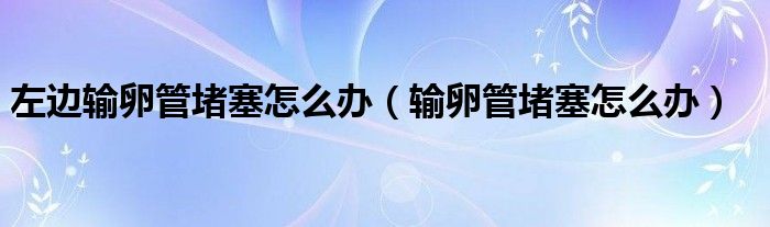 左边输卵管堵塞怎么办（输卵管堵塞怎么办）