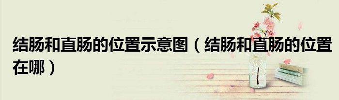 结肠和直肠的位置示意图（结肠和直肠的位置在哪）
