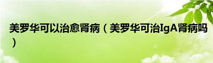 美罗华可以治愈肾病（美罗华可治IgA肾病吗）