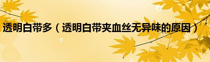 透明白带多（透明白带夹血丝无异味的原因）