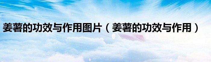 姜薯的功效与作用图片（姜薯的功效与作用）
